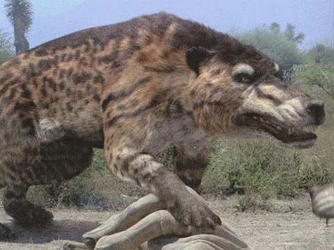 andrewsarchus_9.gif