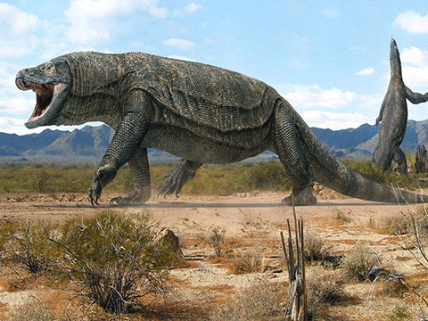 megalania_10.gif